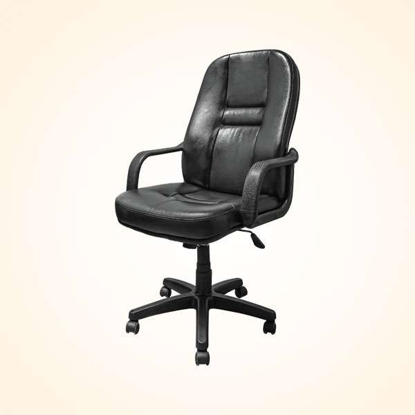Director Chair (CDS-104L)